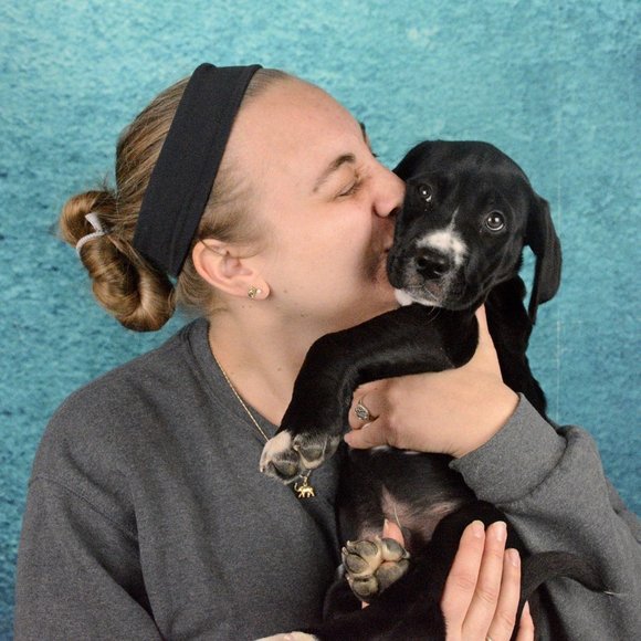 Meet your Posher, Lindsey - Picture 1 of 1